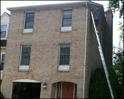 Bat exclusion in Chesapeake VA